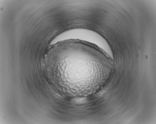 X0000070210093200606161653
