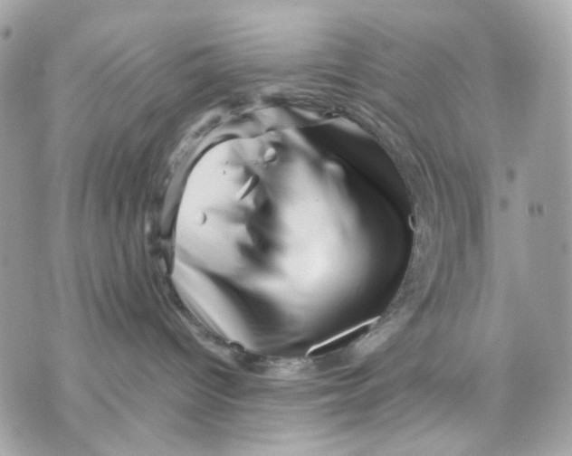 X0000070210096200606161653