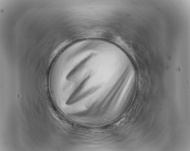 X0000070210107200606161652