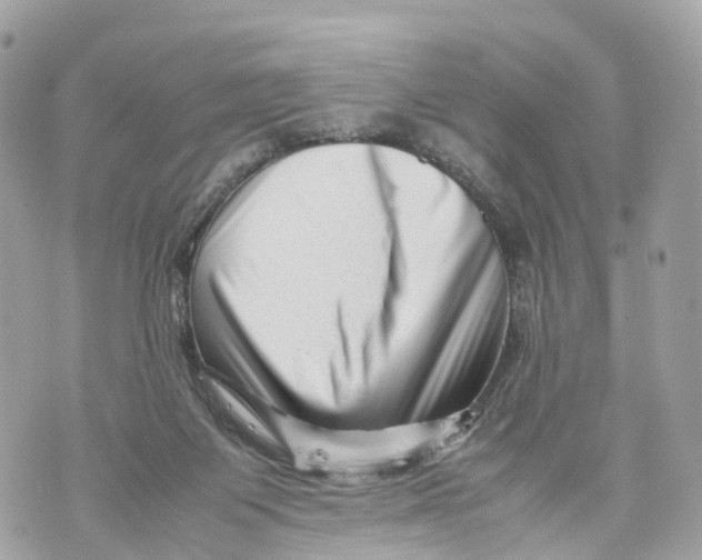 X0000070210119200606161651