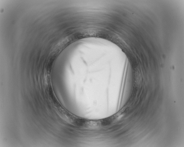 X0000070210126200606161651