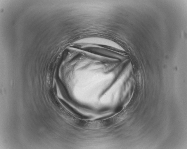 X0000070210127200606161651