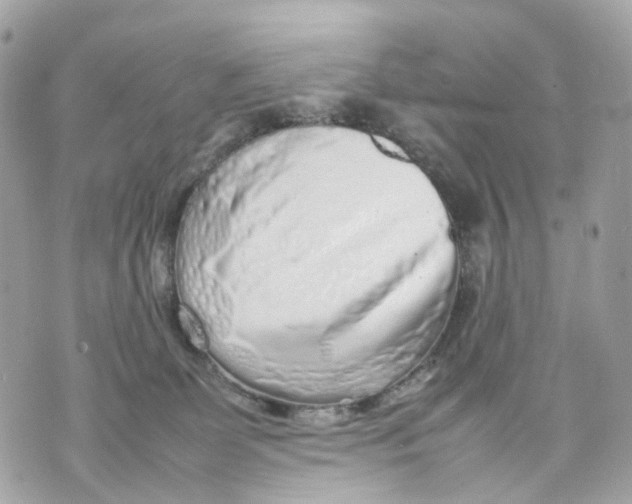 X0000070210131200606161651