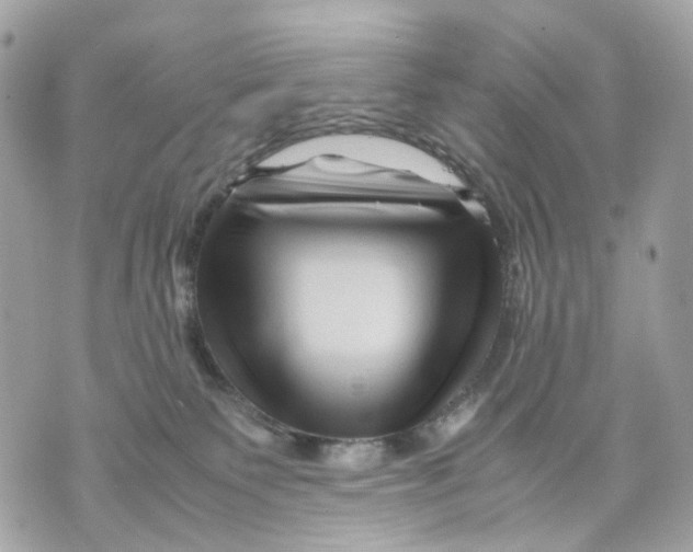 X0000070210135200606161651