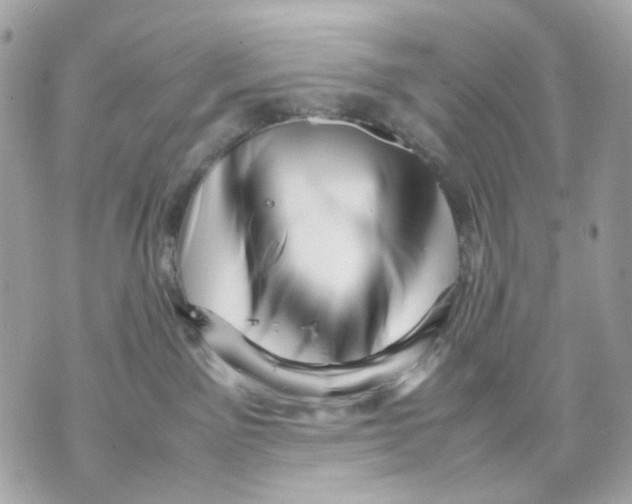 X0000070210141200606161651
