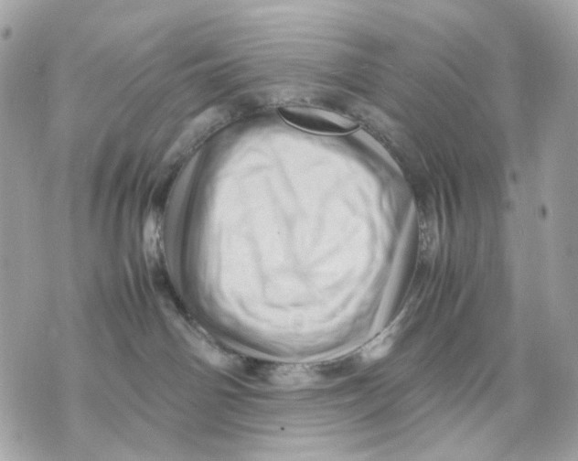 X0000070210142200606161651