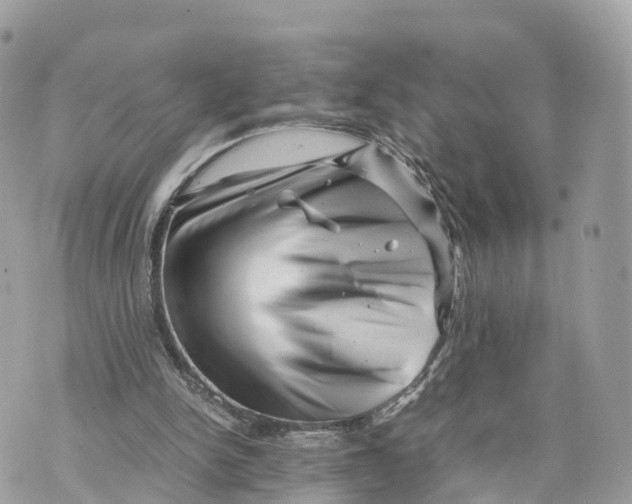 X0000070210150200606161650
