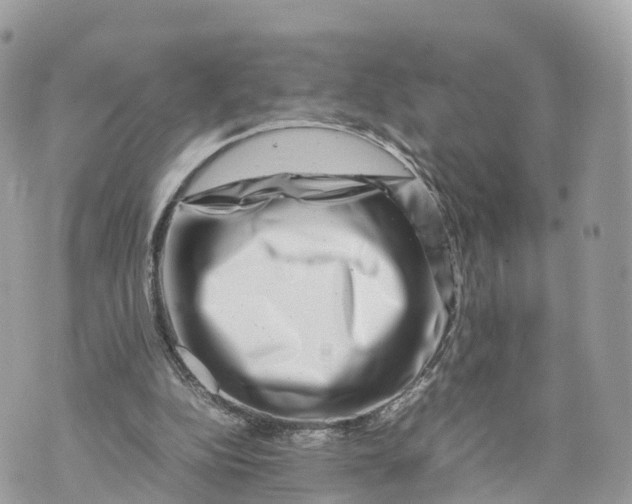 X0000070210152200606161650