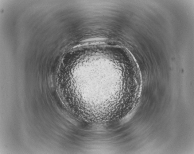 X0000070210182200606161651