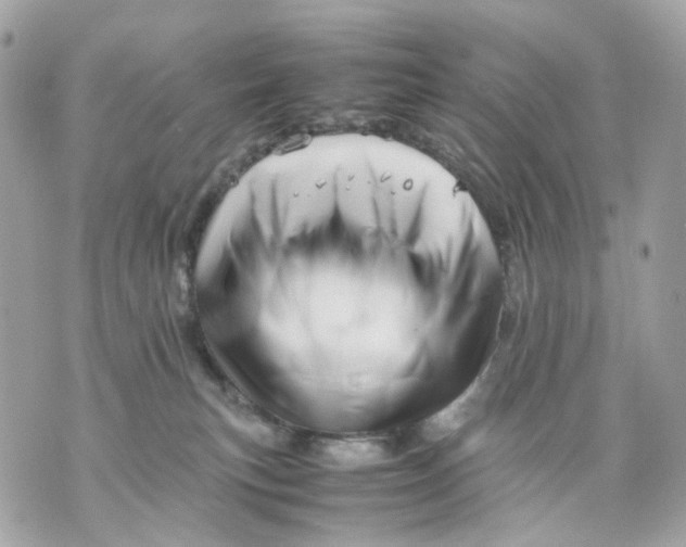 X0000070210183200606161651
