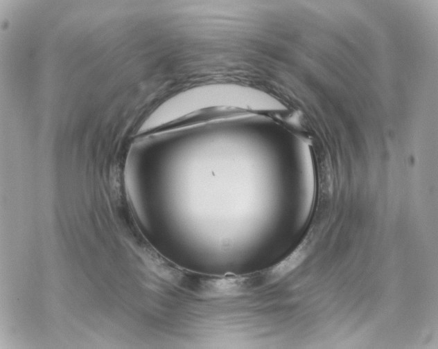 X0000070210184200606161651