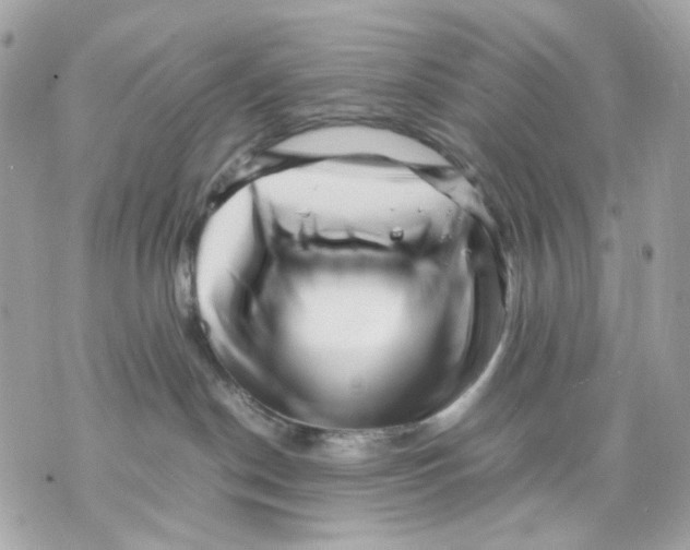 X0000070210190200606161651