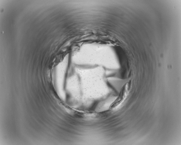 X0000070210192200606161651