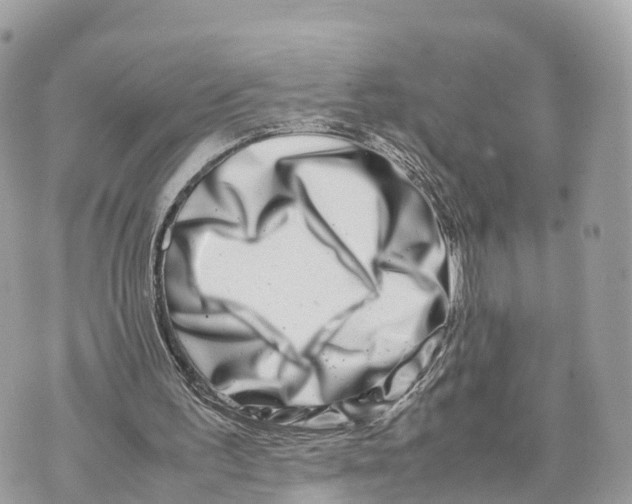 X0000070210195200606161650