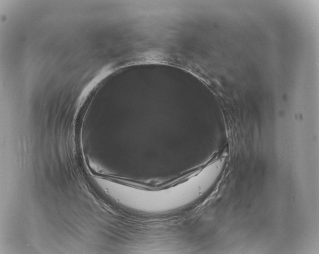 X0000070210200200606161650