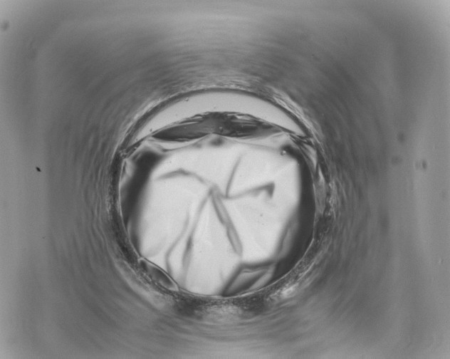 X0000070210203200606161650