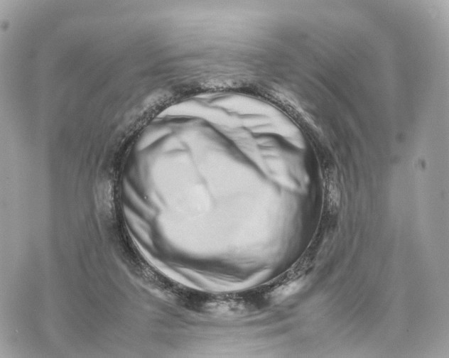 X0000070210211200606161650