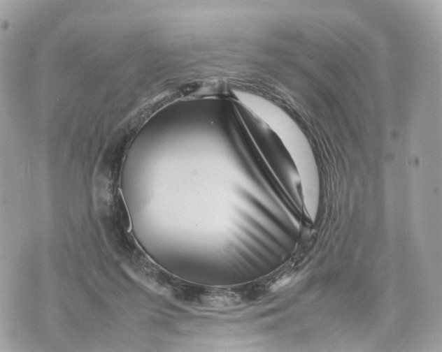 X0000070210215200606161650