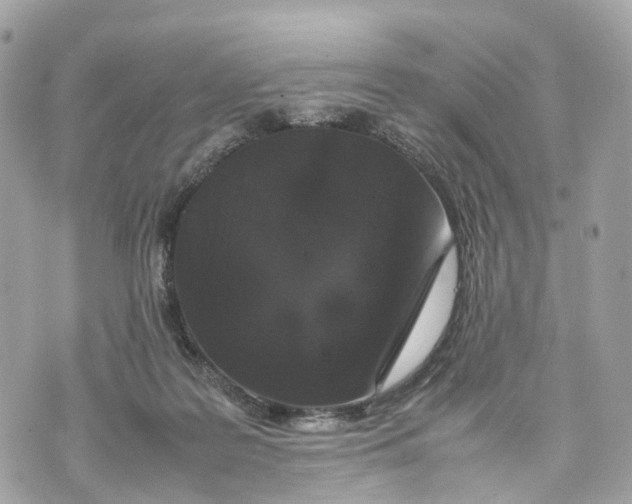 X0000070210219200606161650
