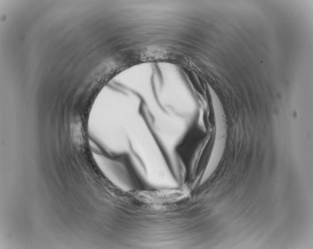 X0000070210224200606161650