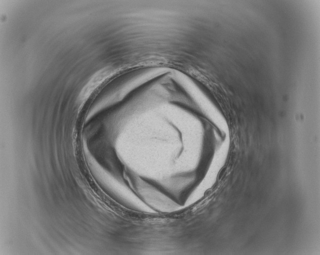 X0000070210242200606161649