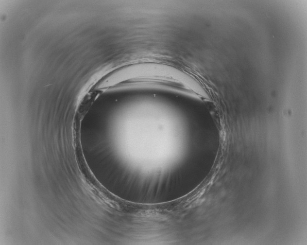X0000070210244200606161649