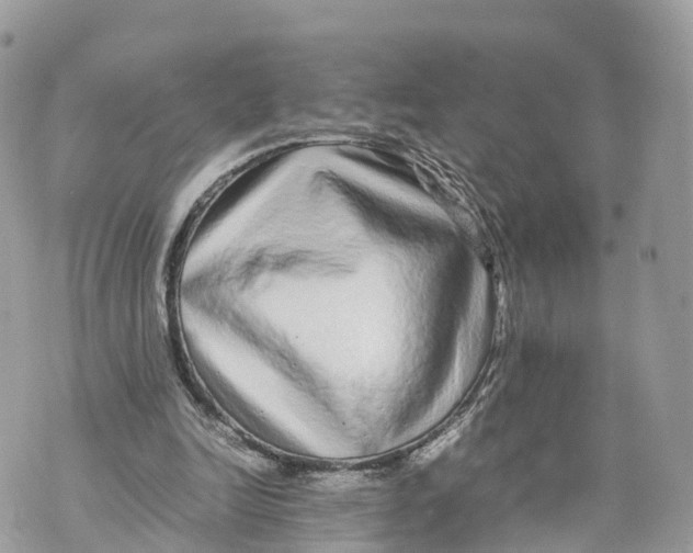 X0000070210246200606161649