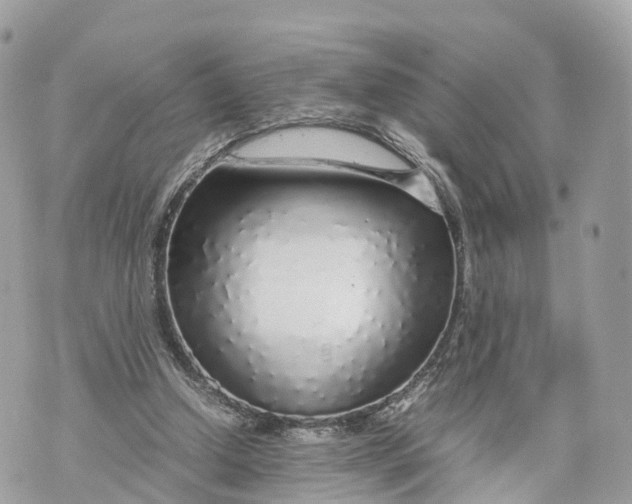 X0000070210250200606161649
