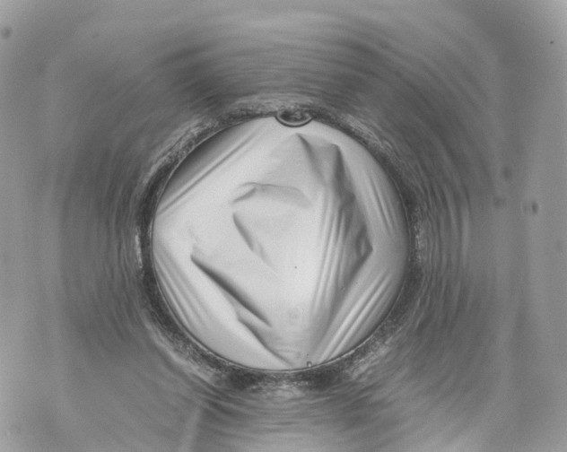 X0000070210254200606161649