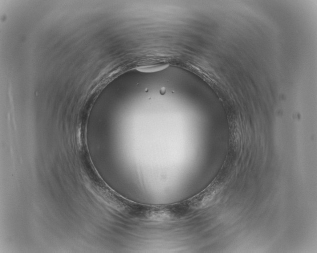 X0000070210262200606161649