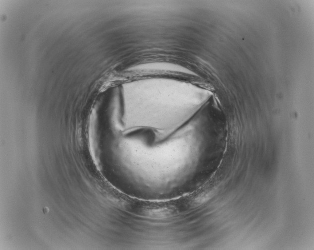 X0000070210267200606161649
