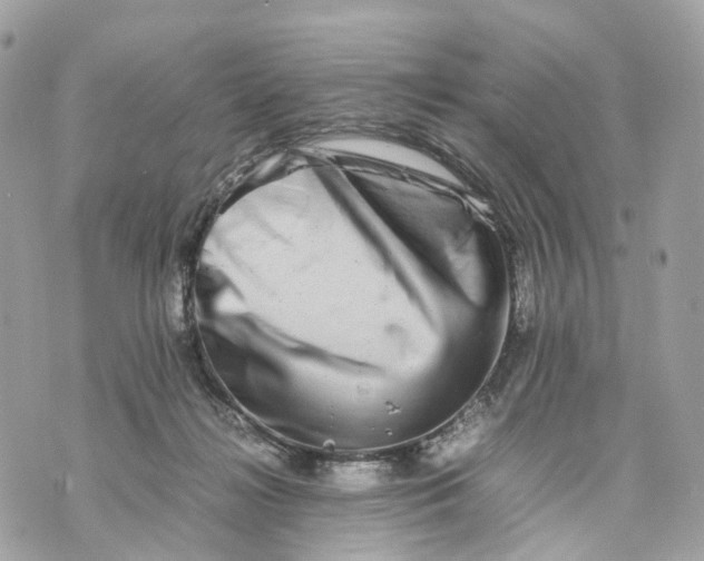 X0000070210268200606161649