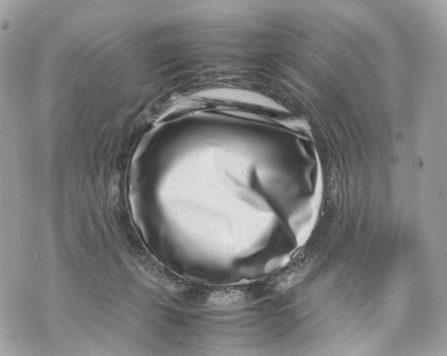 X0000070210271200606161649