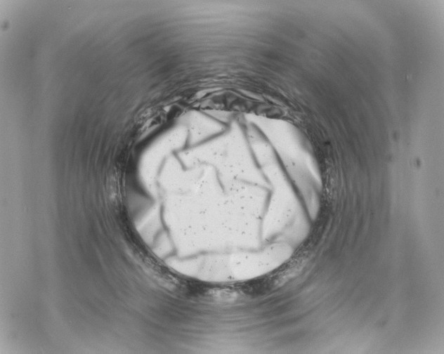 X0000070210272200606161649