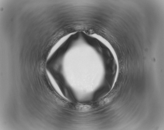 X0000070210277200606161649