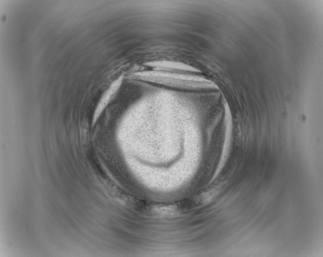 X0000070210283200606161649