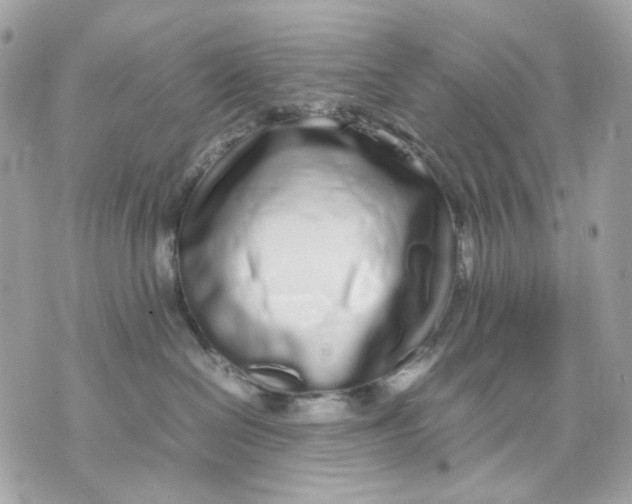 X0000070210286200606161649
