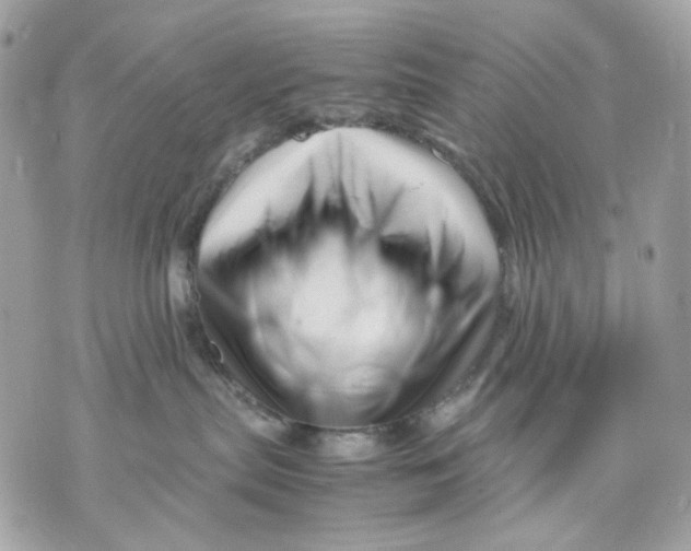 X0000070210287200606161649
