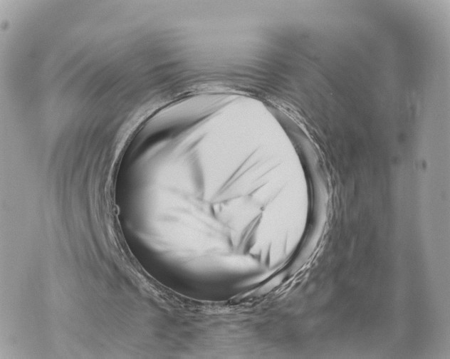 X0000070210289200606161649