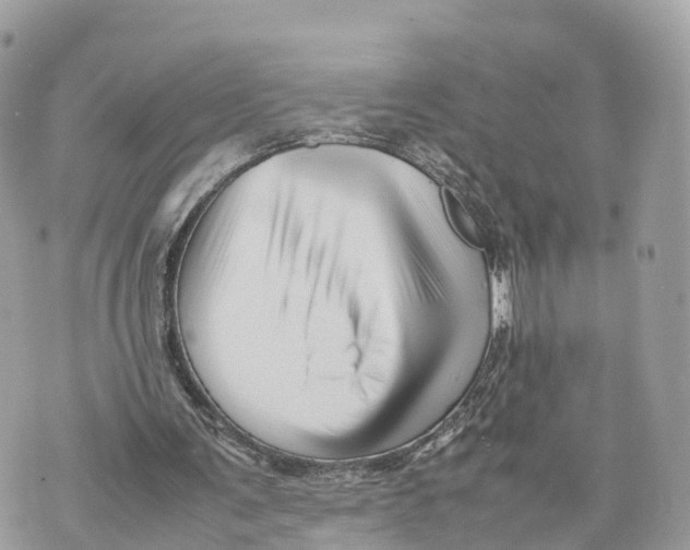 X0000070210291200606161649