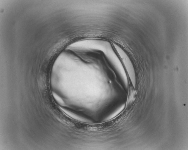 X0000070210303200606161648