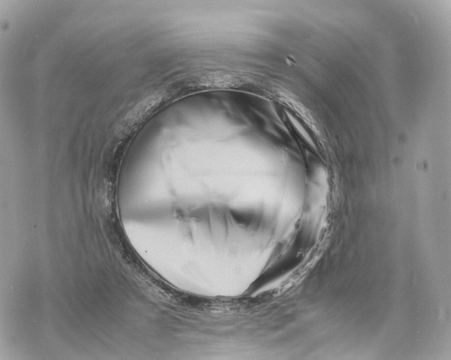 X0000070210305200606161648