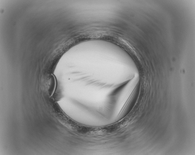 X0000070210307200606161648