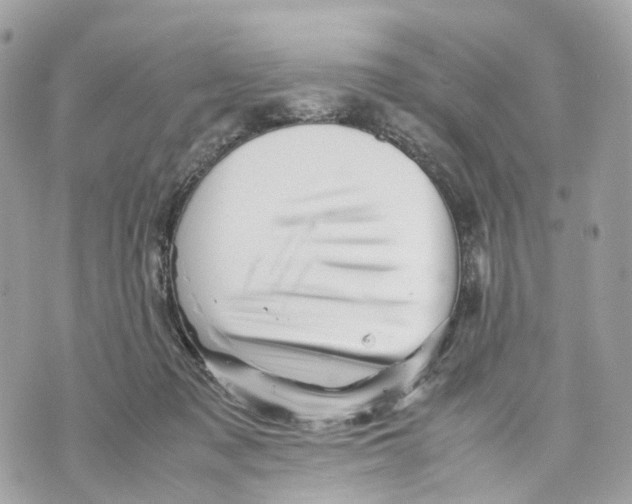 X0000070210317200606161648