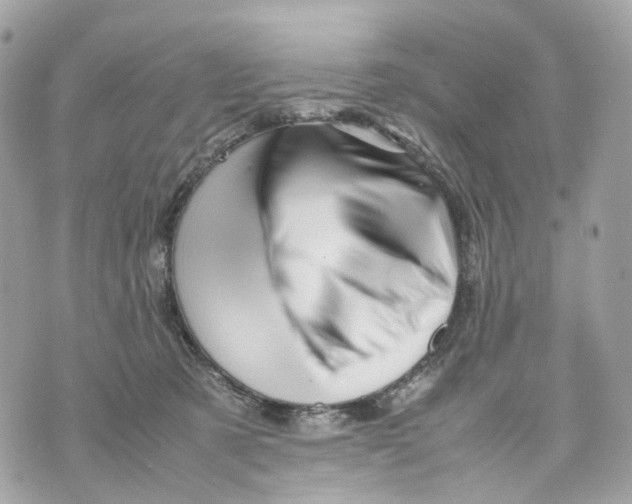 X0000070210321200606161648