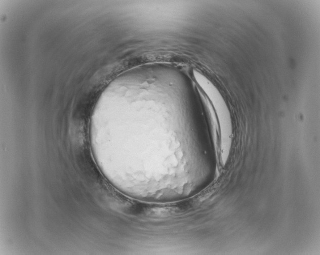 X0000070210323200606161648