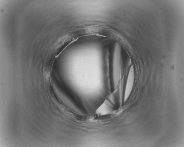 X0000070210329200606161648