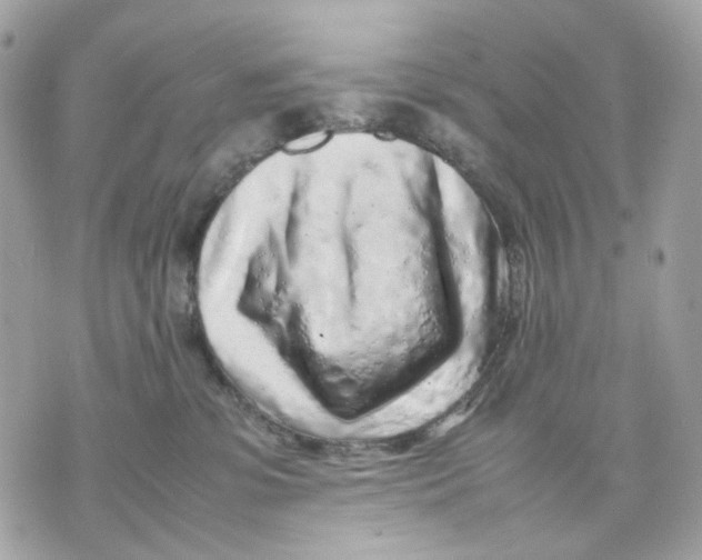 X0000070210331200606161648