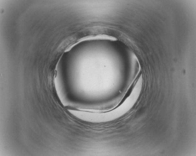 X0000070210333200606161648