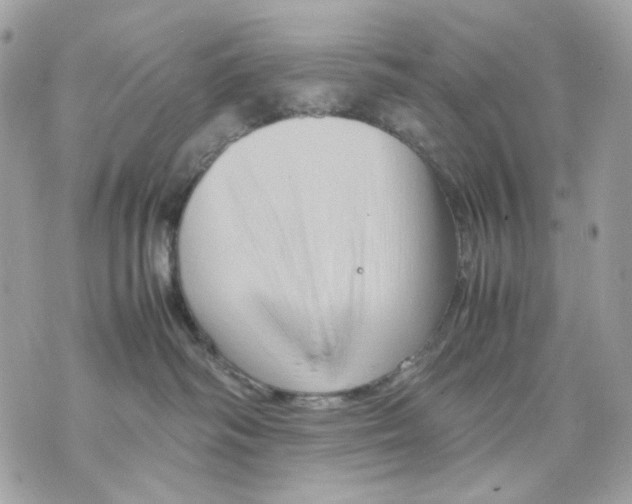 X0000070210334200606161648
